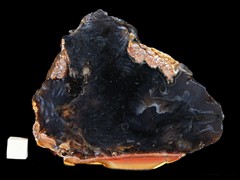 k5022