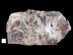 k5049