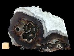 k5109