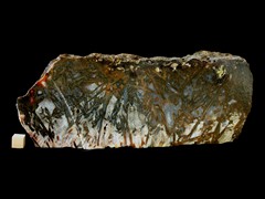 k5164-