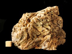 k5174-1-IMG_4289