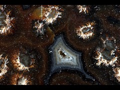 k5214-2!IMG_4360