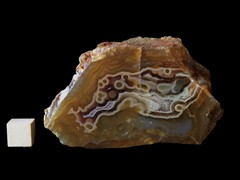 k5225-IMG_4375