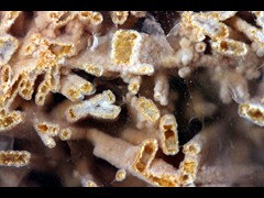 k5226-3IMG_4381