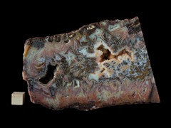 k5255-IMG_4432