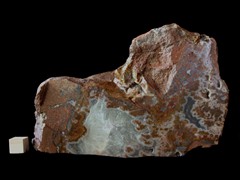 k5259-IMG_4438
