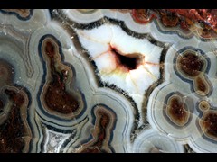k5266-1-IMG_4450