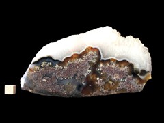 k5274-IMG_4467