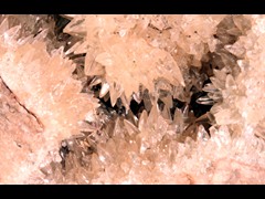 k5412-1-IMG_4664