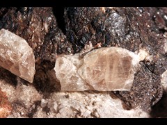 k5420-1-IMG_4680