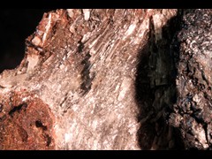 k5420-2-IMG_4681