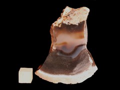 k5432-IMG_4708