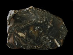 k5474-IMG_4821