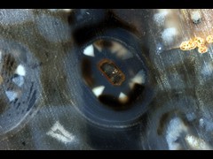 k5490-1-IMG_4857