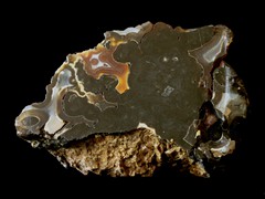 k5501-IMG_4901