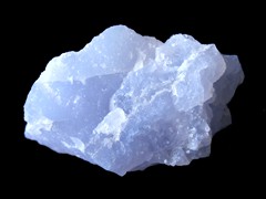 k5516-IMG_4924
