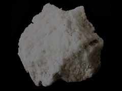 k5559