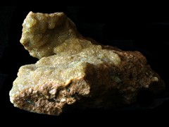 k5564