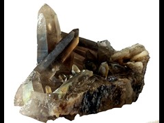 k5594