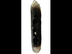 k5616