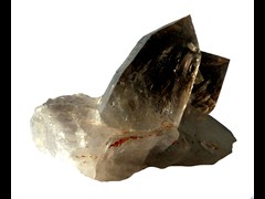 k5629