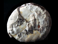k5669-1