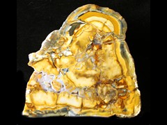 k5675-IMG_4973-1
