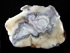 k5678-IMG_4979-1