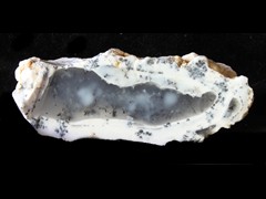 k5679-IMG_4981-1