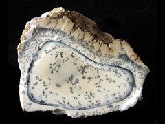 k5683-IMG_4987-1
