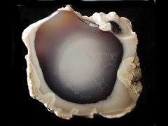k5701-IMG_5020-1