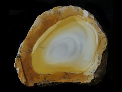 k5707-IMG_5029-1