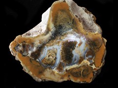 k5715-IMG_5041-1