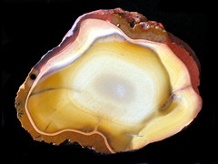 k5741-IMG_5088-1