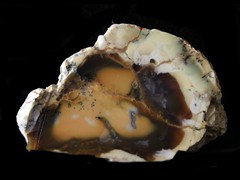 k5747-IMG_5097-1