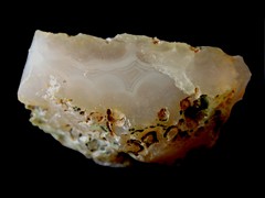 k5791-IMG_5181-1