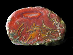 k5799-IMG_5200-1