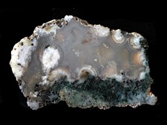k5824-IMG_5250-1