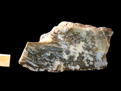 k6447