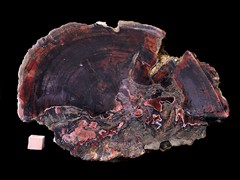 k6553