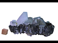 k6589-3