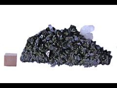 k6593
