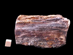 k6656-1