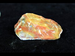 k1019
