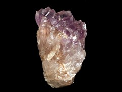 k1129