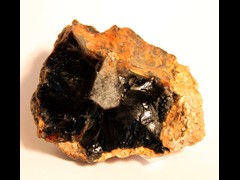 k1144