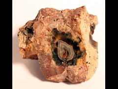 k1146