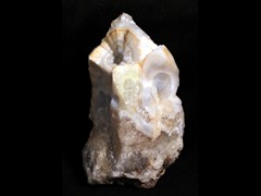 k1148