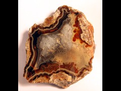 k1173