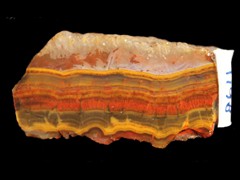 k1198